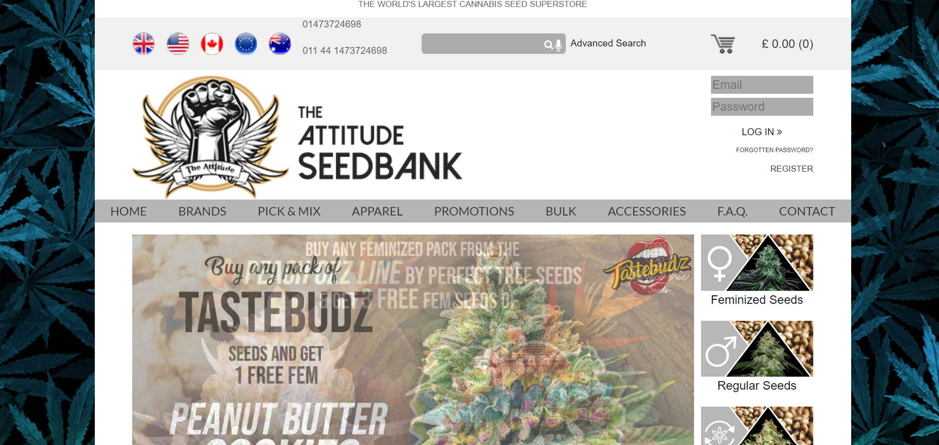 Top Best American Seed Banks Review In Reliable