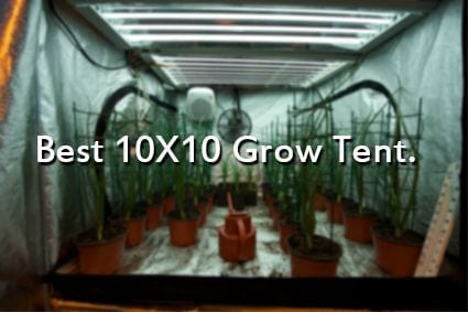 best 10x10 Grow Tent