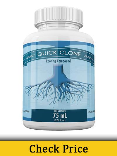 Quick Clone Gel 