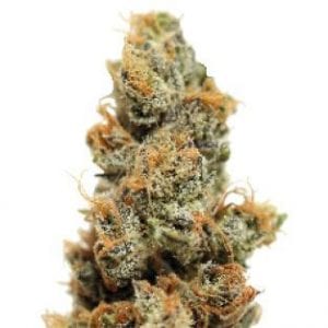pineapple express