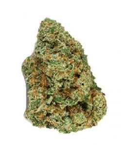 ACDC-cannabis-strain