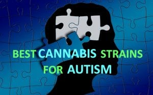 BEST-CANNABIS-STRAINS-FOR-AUTISM-SYMPTOMS