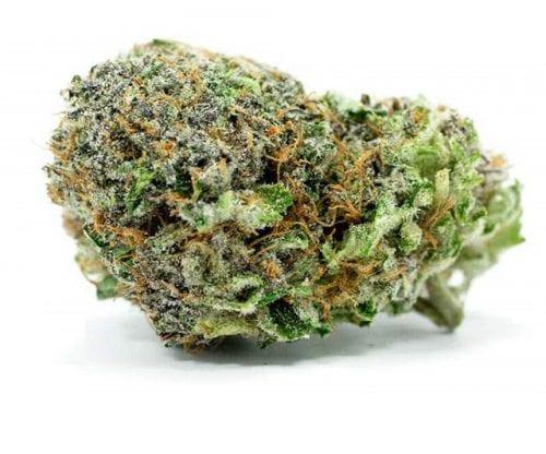 Green-Crack-strain