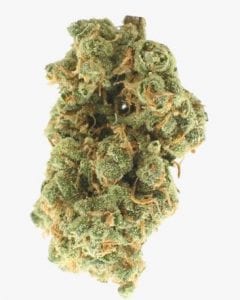 Lambs-Bread-cannabis-strain