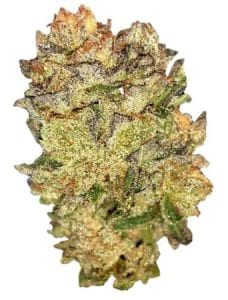 headband-cannabis-strain