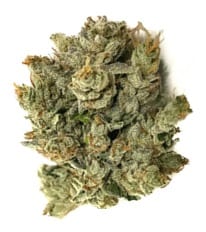 hindu kush - best cannabis strains for autism