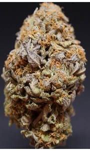 Purple Urkle Cannabis Strain Review