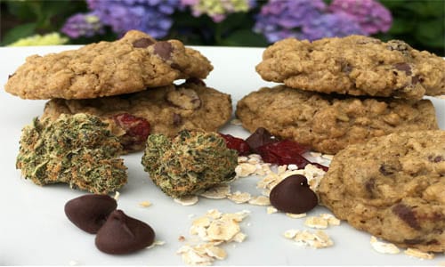Oatmeal Weed Cookie