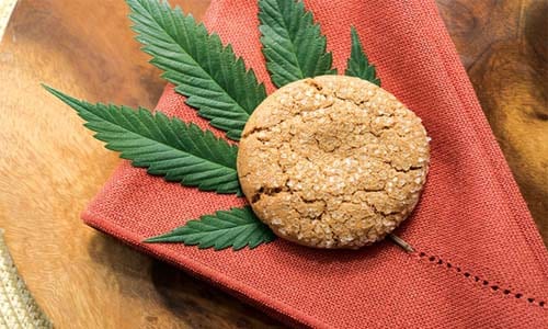 Snickerdoodle Weed Cookie