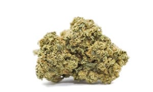 Maui Wowie Strain Review