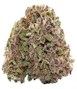 Pink Boost Goddess strain
