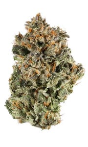 Sunset Sherbet Cannabis Strain Review
