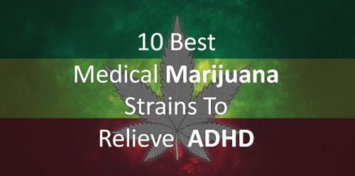 Best Cannabis Strains for ADHD/ADD