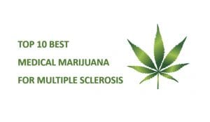 best cannabis strains for multiple sclerosis featured