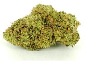 papaya cannabis strain