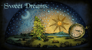 sweet dreams weed
