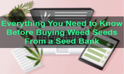 Qualities of seed bank