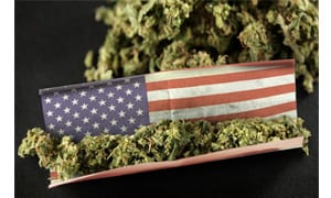 Can You LEGALLY Buy Marijuana Seeds Online?