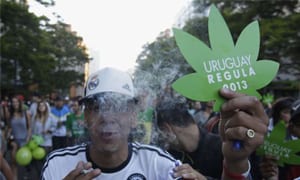 Can You LEGALLY Buy Marijuana Seeds Online?