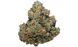 Chemdawg Cannabis Strain Review