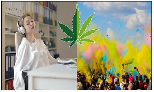 Indica vs Sativa