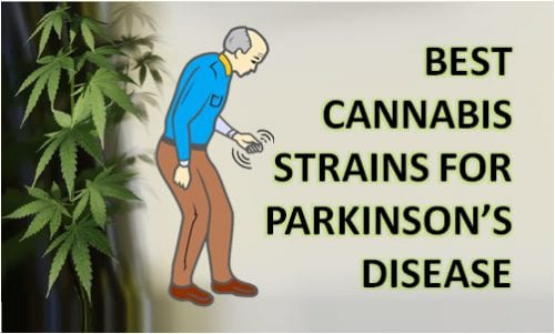 best cannabis strains for Parkinson's disease