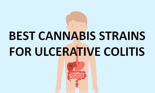 best cannabis strains for ulcerative colitis