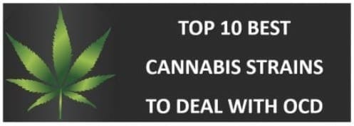 best marijuana strains for OCD
