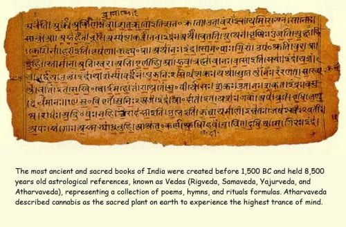 cannabis reference in atharva veda