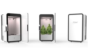 Top 10 Cannabis Products