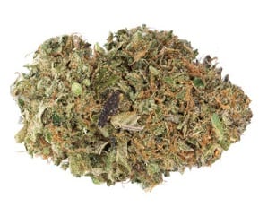 johnny's tonic strain