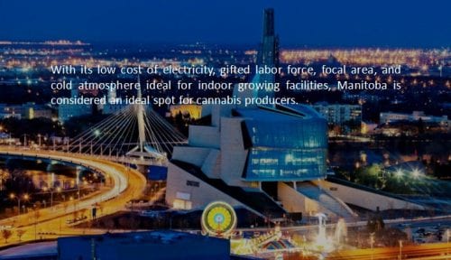manitoba cannabis market