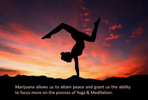 yoga meditation and marijuana