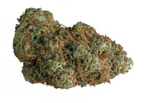 yogi kush marijuana strain