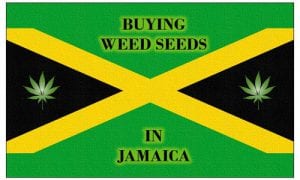 Cannabis in Jamaica