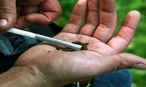 cannabis and the Netherlands