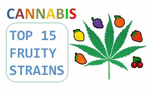 best fruity cannabis strains