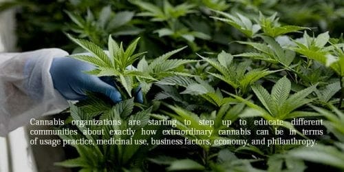 cannabis industry and philanthropy