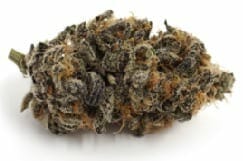 Black Beauty strain