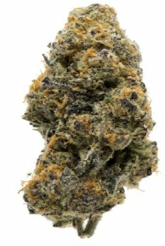 Candyland strain