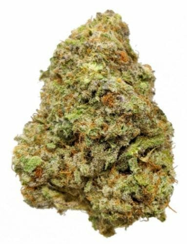 MAC Miracle Alien Cookies strain