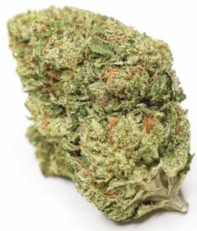 Sunset OG