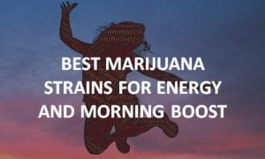 best cannabis strains for energy