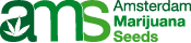 AMS
