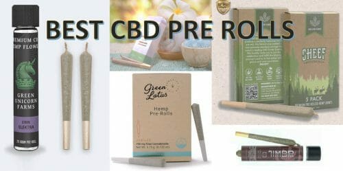 Best CBD Pre Rolls