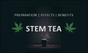 Stem Tea from Weed
