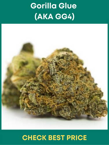 Gorilla Glue (AKA GG4)
