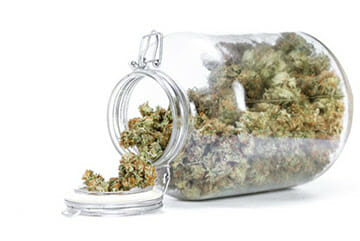 6 Best Weed Humidor In 2022