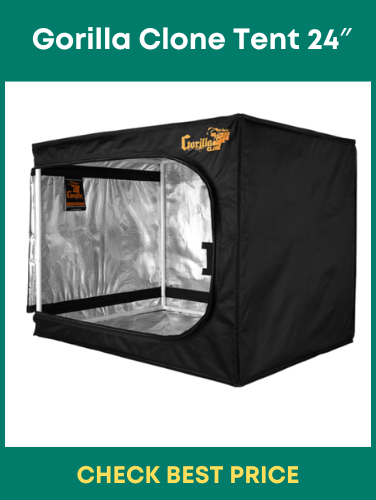 Gorilla Clone Tent 24″