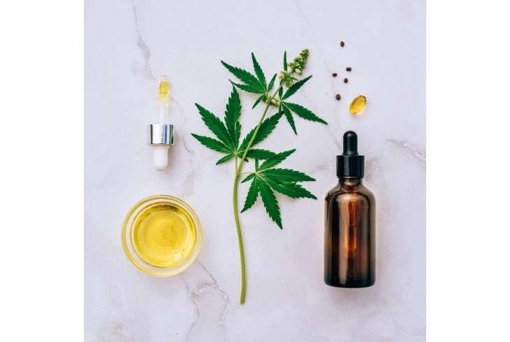 Can CBD Get You High